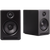 Audioengine A2+ Wireless Speakers